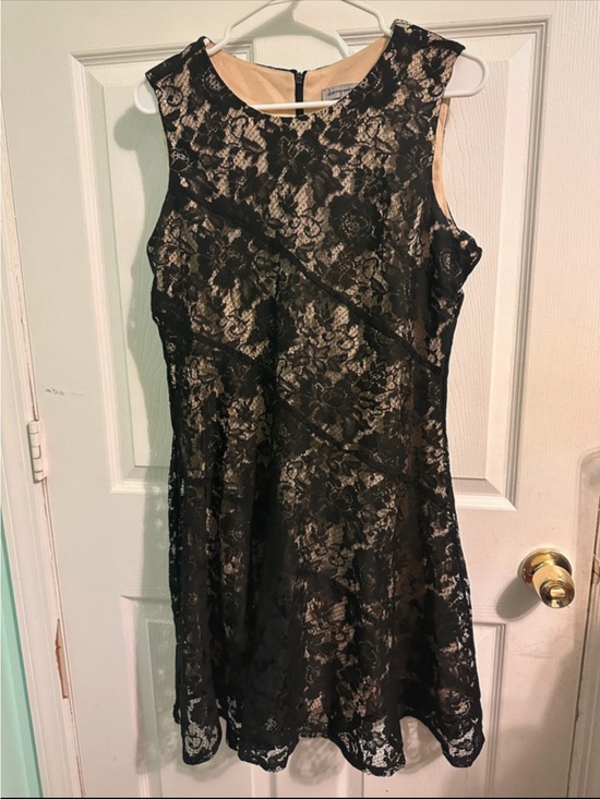 Danny & Nicole Dresses & Skirts - Danny & Nicole Black Lace Mini Dress with Nude Lining